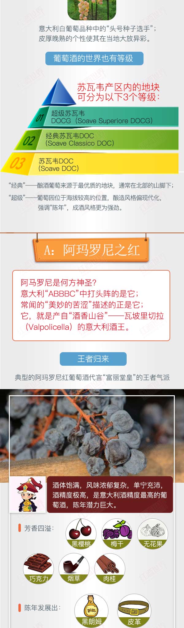 红酒世界连环话：喝懂SAP，尽品威尼托之味